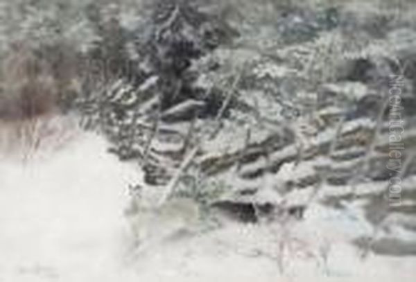 Vinterhare Vid Gardesgard - view 1