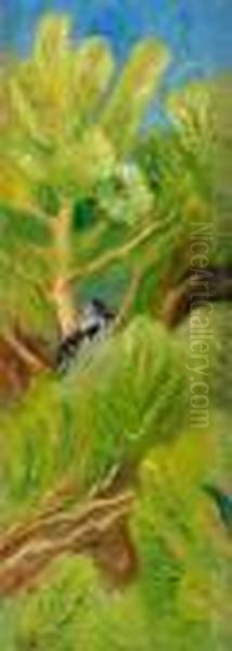 Kraka I Tall - view 1