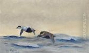 Ejderpar Over Havet by Bruno Andreas Liljefors