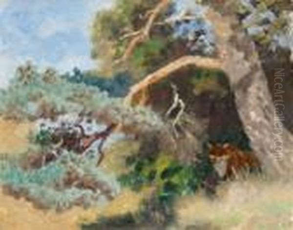 Rav I Skogslandskap - view 1