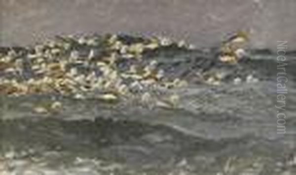 Alfagelflock - view 1
