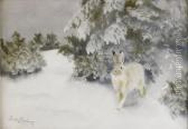 Vinterhare - view 1