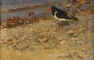Strandskata Vid Boet by Bruno Andreas Liljefors