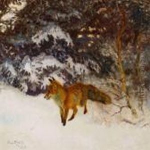 A Fox In The Woods On A Winter Day A Fox In The Woods On A Winter Day