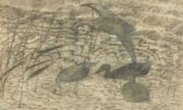 Ander Bland Vass. - view 1