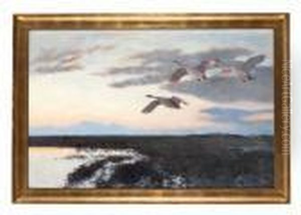 Strackande Svanar - view 1
