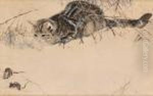 Smygande Katt