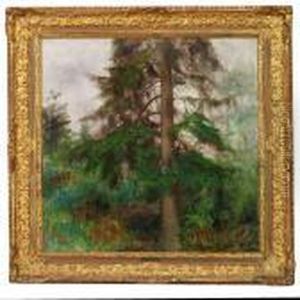 Forest Scene With A Black Grouse In A Pine