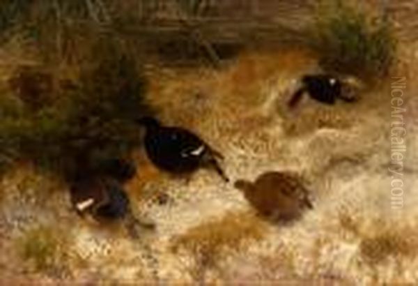 Orrspel - view 1
