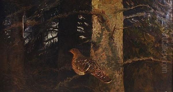 Quail At Roost - view 1