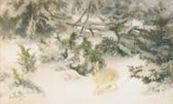 Vinterhare - view 1