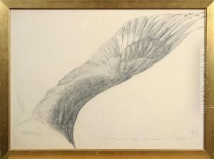 Tillskriven, Skiss Pa En Vinge by Bruno Andreas Liljefors