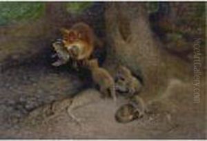 Ravfamilj Vid Grytet (family Of Foxes By Their Den) Ravfamilj Vid Grytet (family Of Foxes By Their Den)
