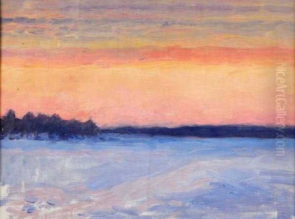 Vinterlandskap - view 1