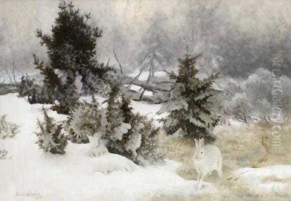 Hare I Vinterlandskap - view 1