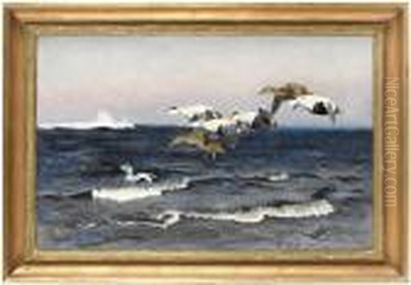 Fallande Ejdrar - view 1