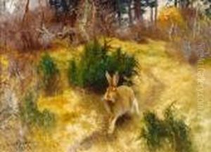 Hare I Hostlandskap