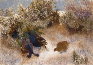 Landskap Med Fjallripa (ptarmigan In A Landscape)