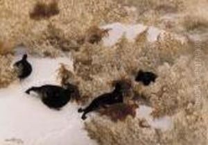 Red Grouse In The Snow Red Grouse In The Snow