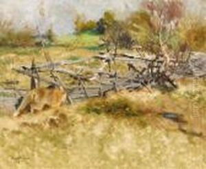Fox By The Fence