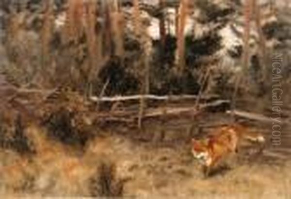 A Red Fox In A Landscape - view 1