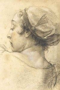 The head of woman turned to the left by Giovanni Battista Piazzetta