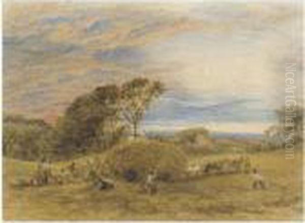 The Harvest Field - view 1