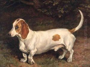 A Favourite Dachshund by Frank Paton