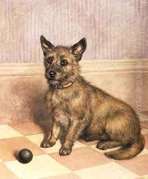 Waiting to Play, a Cairn terrier with a ball - view 1
