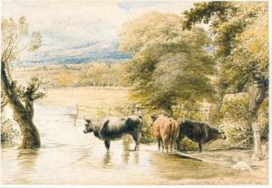 Cattle Crossing A Stream Cattle Crossing A Stream