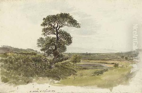 An Extensive Landscape In North Wales - view 1