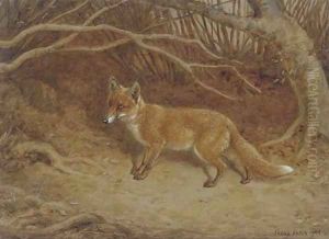 The wily fox by Frank Paton