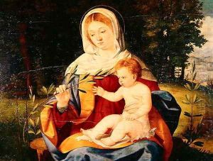 The Vigin and Child with a shoot of Olive, c.1515 by Andrea Previtali