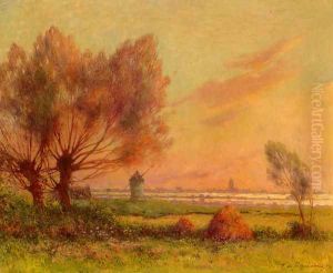 Soleil couchant sur les marais salants