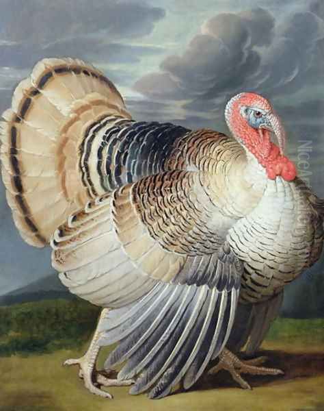 Turkey - view 1