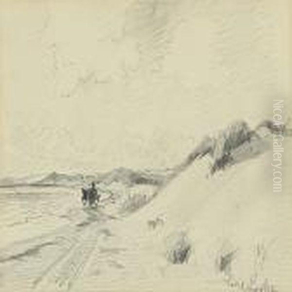 Coastel Scenery With Carrige - view 1