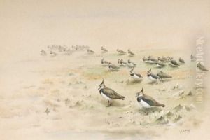 Lapwings By The Lochside by George Edward Lodge
