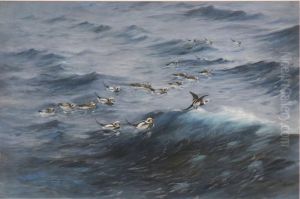 Longtails At Sea by George Edward Lodge