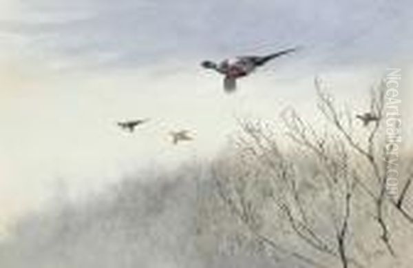 Pheasants In Flight - view 1