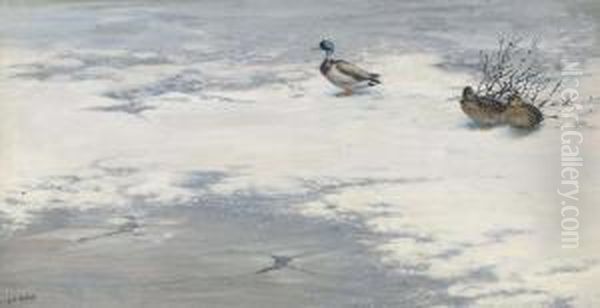 Mallards On A Frozen River - view 1