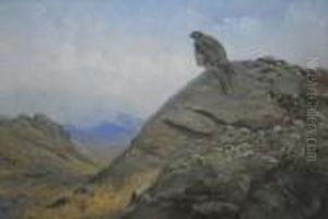Peregrine Falcon by George Edward Lodge