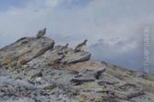 Grouse On A Rocky Outcrop by George Edward Lodge