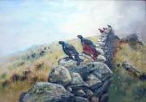 Blackcock On A Wall