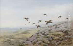 Grouse In Flight