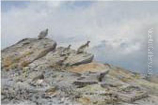Grouse In A Highland Landscape - view 1