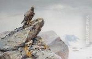 Golden Eagle On A Rocky Outcrop
