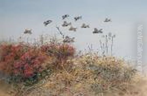 Driven Partridge - view 1