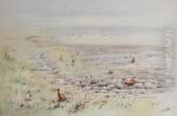 Pheasants - view 1