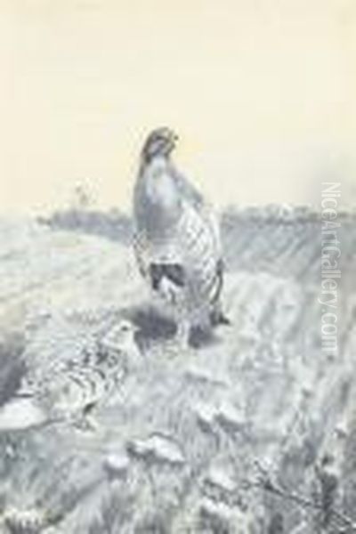 A Pair Of English Partridges - view 1