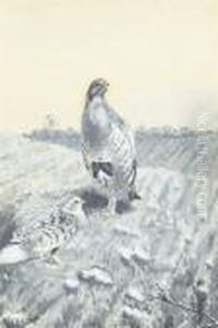 A Pair Of English Partridges